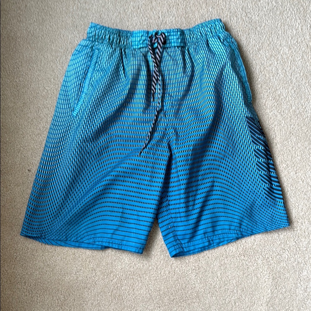 Nike Blue Board Shorts Quick-Dry Swimwear